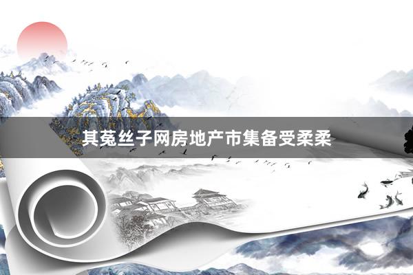 其菟丝子网房地产市集备受柔柔